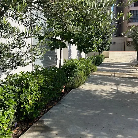 Apartment Water Lily Vlore